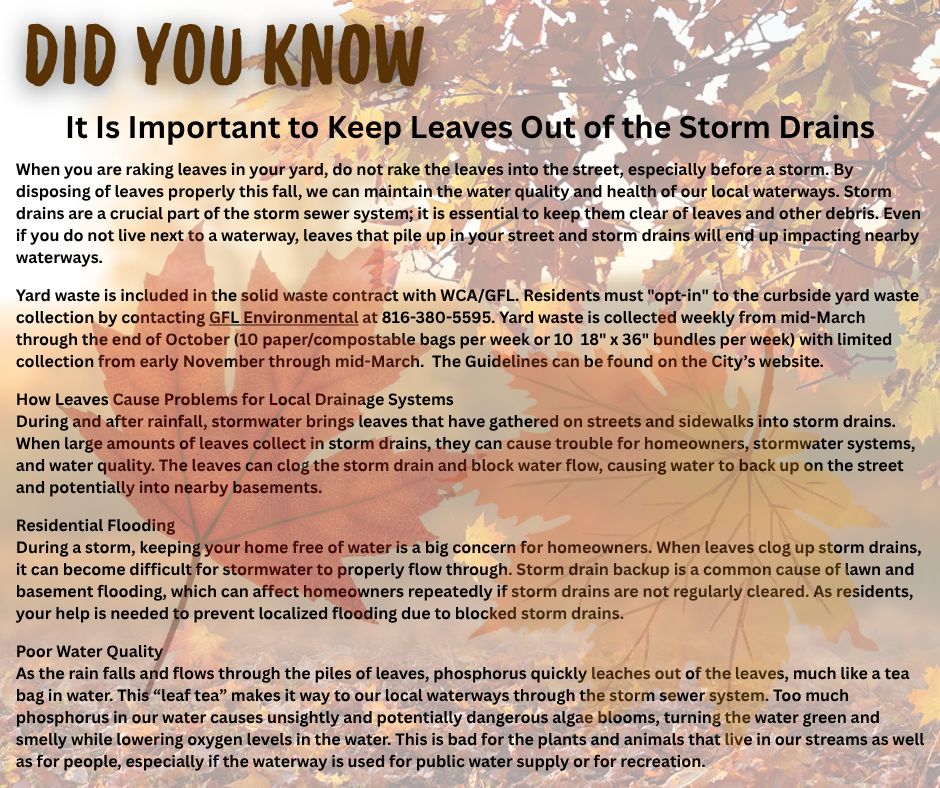 Keep Leaves Out of the Storm Drains - Copy (2)